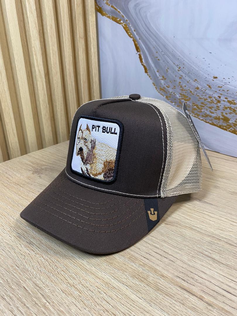 gorra-goorin-bros-pitbull - Vista 2